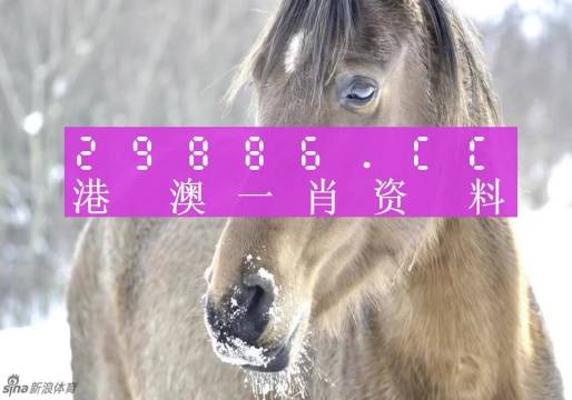 企业文化 第194页